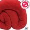 Manta Cobertor Queen 220x240cm Microfibra Soft Macia Fleece  Camesa - Emcompre - Marca Camesa
