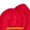 Cobertor Casal Manta Microfibra Antialérgico 1,8x2,2m Vermelho - Camesa - Marca Camesa