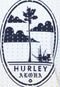 Camiseta Manga Curta Hurley Modern Oval Branca - Marca Hurley