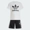 Adidas Conjunto Infantil Camiseta Shorts Adicolor - Marca adidas