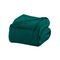Cobertor Queen Manta Microfibra Antialérgico 2,2x2,4m Verde Escuro - Camesa - Marca Camesa