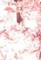 Blusa Leeloo Flower Rosa - Marca Leeloo
