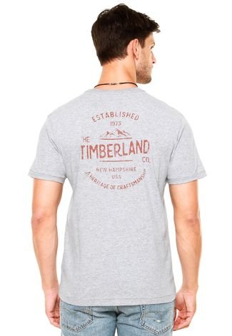 Camiseta Timberland Kennebec River Graph Cinza