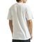 Camiseta Volcom Within WT23 Masculina Branco - Marca Volcom
