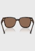 Óculos De Sol Ray-Ban 0Rb4437L Lente Marrom Degradê Marrom - Marca Ray-Ban