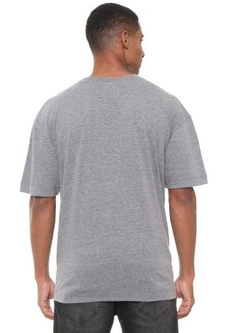 Camiseta Triton Estampada Cinza
