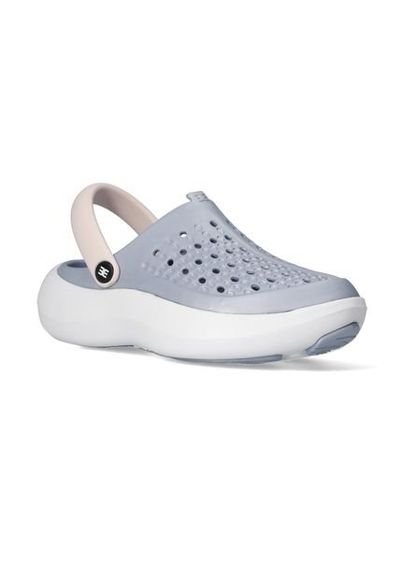 Zueco evacol online