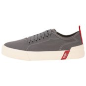 Tênis Masculino Charlotte Canvas Coca-Cola Cc2404 5370404 Cinza - Marca Coca Cola