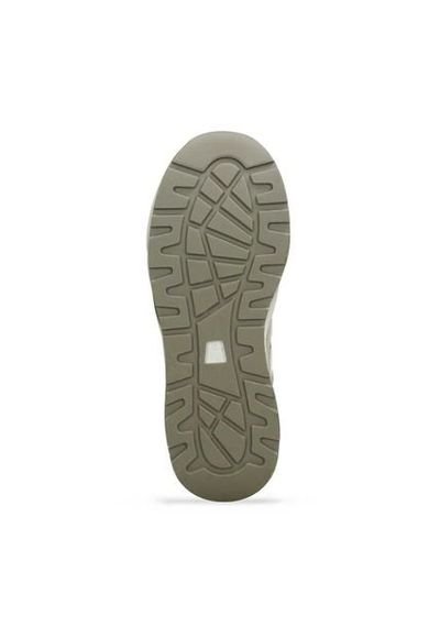 Tenis Deportivos Beige North Star Ella Russell Mujer Compra