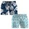 Kit 2 Bermudas Basicas Tactel Masculinos Floral Pra Praia - Marca Dulk