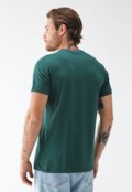 Camiseta Aeropostale Reta Estampada Verde - Marca Aeropostale