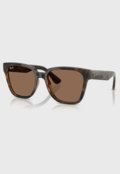 Óculos De Sol Ray-Ban 0Rb4437L Lente Marrom Degradê Marrom - Marca Ray-Ban