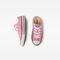 Chuck Taylor All Star Juvenil Canvas Rosa Rosa - Marca Converse