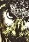 Regata Botswana Owl Amarela - Marca Botswana