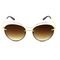 Óculos Prorider - Solar Dourado e Preto com lentes degradê Marrom - 1653C2-140 - Marca Prorider