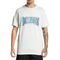 Camiseta DC Shoes Tall Stack WT23 Masculina Off White - Marca DC Shoes