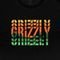 Camiseta Grizzly All Conditions SM23 Masculina Preto - Marca Grizzly